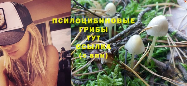 стафф Балабаново