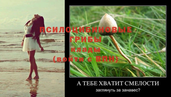 прущие крисы Балахна